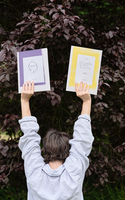 DEUX NOUVEAUX ÉPISODES DU DICTIONNAIRE DES RIMES PAUVRES Image 1
